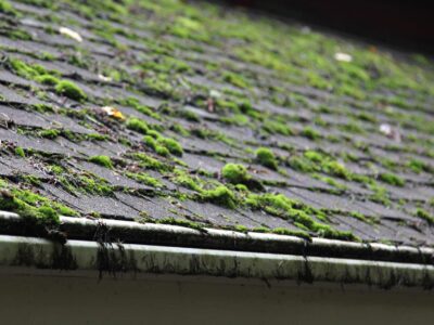 Whitby conservatory roof cleaning