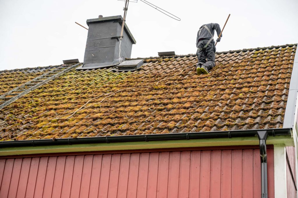 Roof moss removal Roof moss removal West Yorkshire