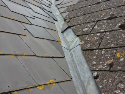 Whitby roof moss remover